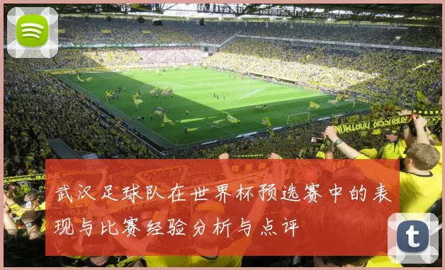 武汉足球队在世界杯预选赛中的表现与比赛经验分析与点评