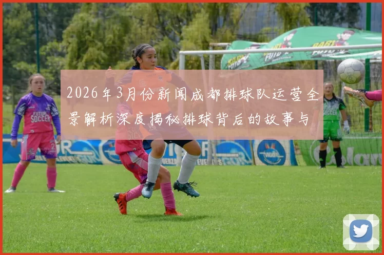 2026年3月份新闻成都排球队运营全景解析深度揭秘排球背后的故事与策略