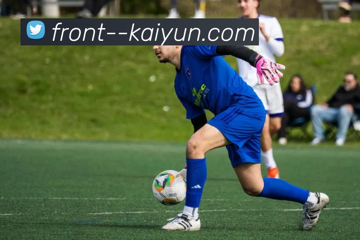 kaiyun平台生态图